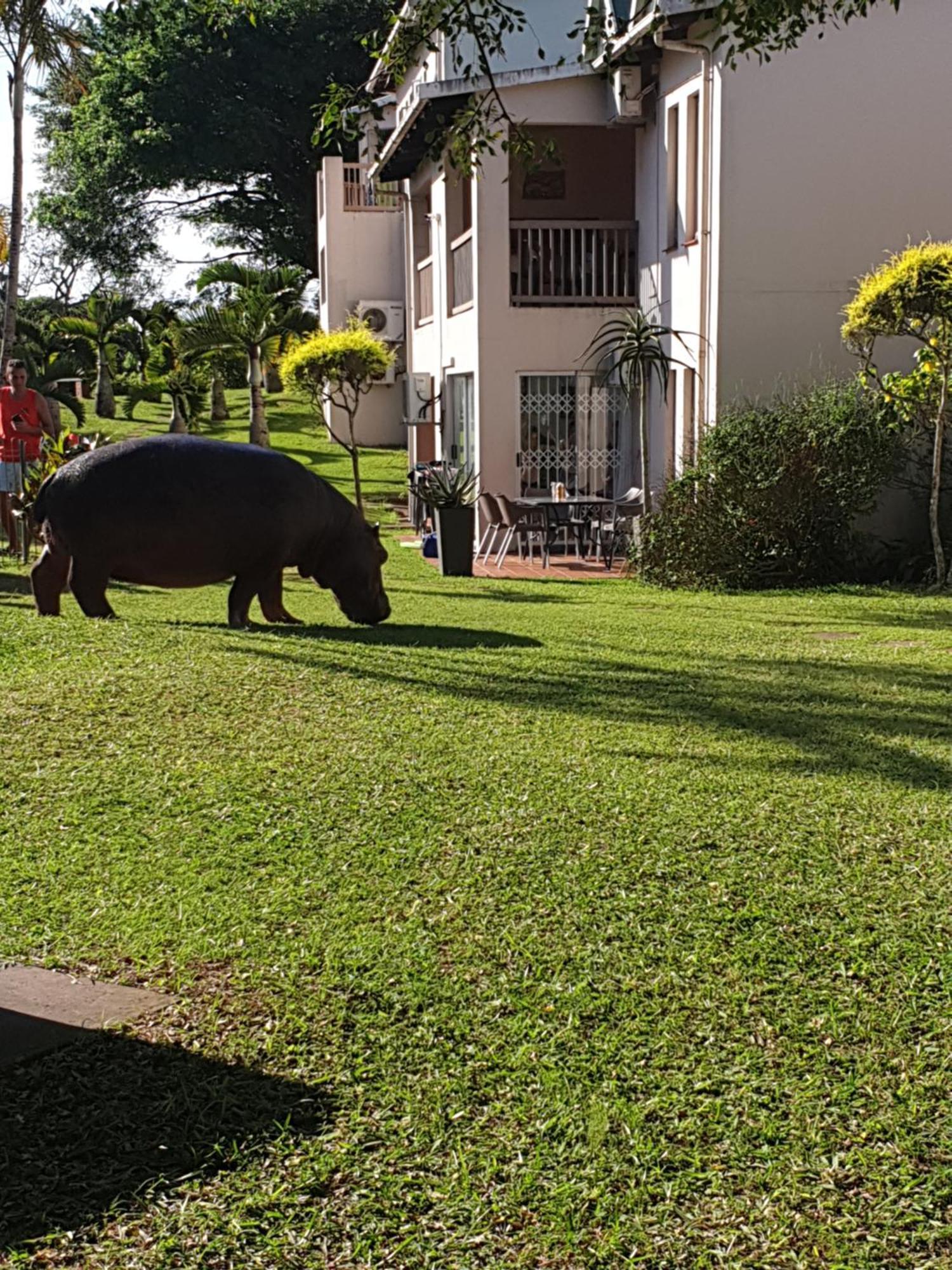 Unit 30 The Bridge - Family Unit In A Prime Spot On The Ground Floor Apartment St Lucia Luaran gambar